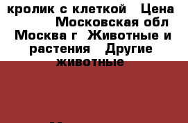 кролик с клеткой › Цена ­ 1 500 - Московская обл., Москва г. Животные и растения » Другие животные   . Московская обл.,Москва г.